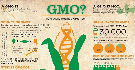 GMO-Fact-sheet